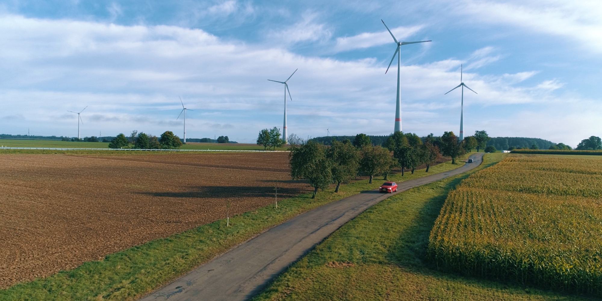 a dirt road in a grassy field
