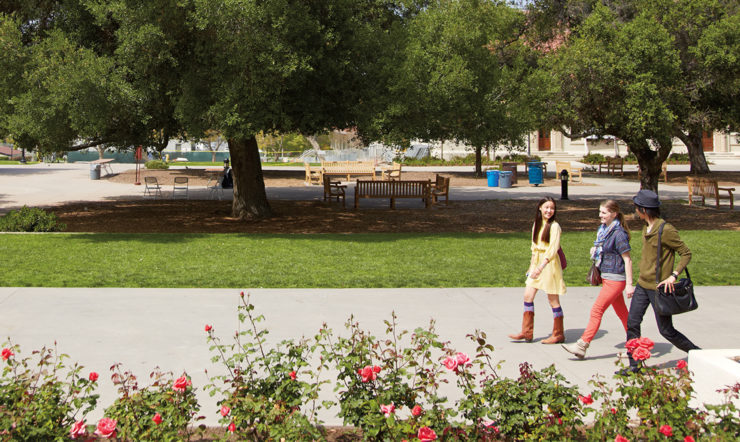 a group of people in a park