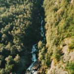 Norsk granskog med rennende foss i midten